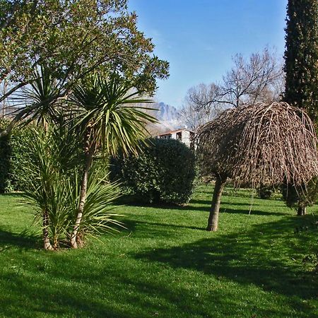 Macchia Home Marina Di Carrara Exterior foto